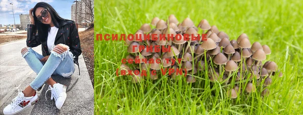 мет Новозыбков