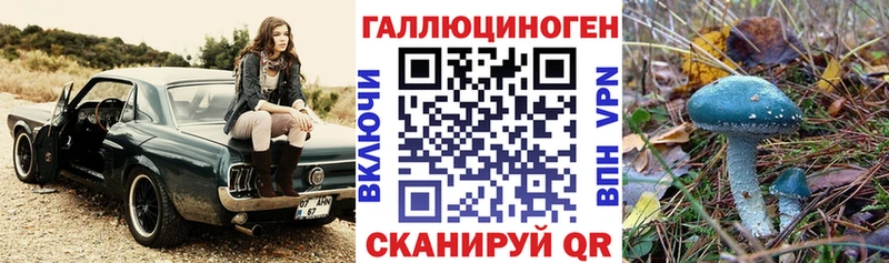 нарко площадка Telegram  Искитим  Галлюциногенные грибы прущие грибы 
