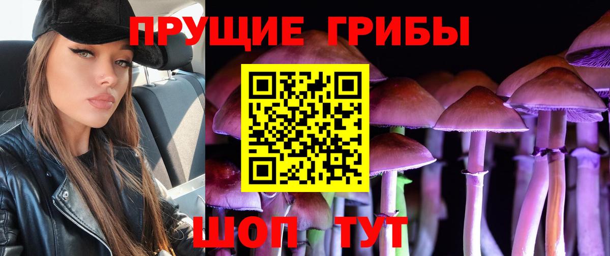 Искитим  Галлюциногенные грибы GOLDEN TEACHER  Вход с VPN  Псилоцибиновые грибы Psilocybe 